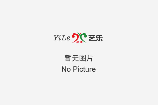 藝樂 | 藝術涂料的發(fā)展趨勢